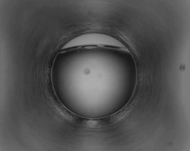 X0000090970265200708241322