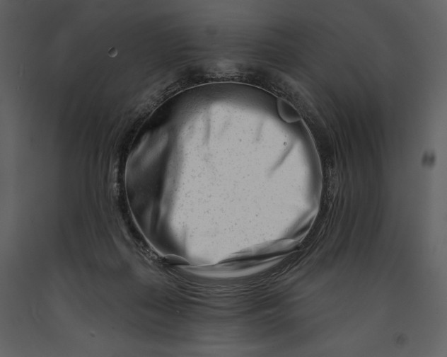 X0000090970267200708241322