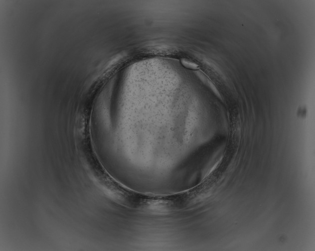 X0000090970268200708241322