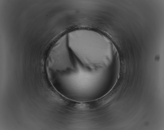 X0000090970269200708241322