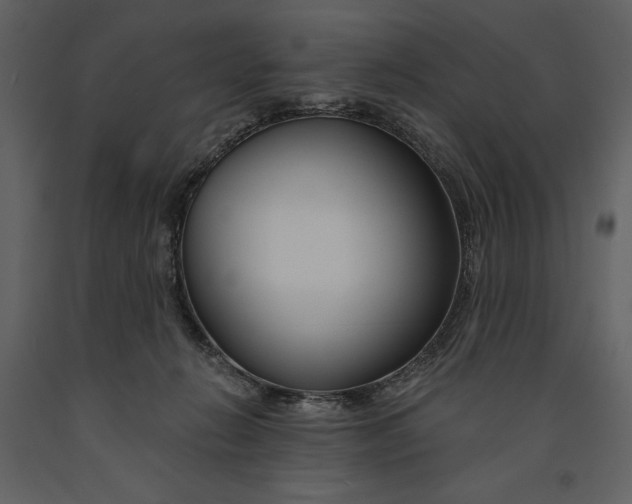 X0000090970270200708241322