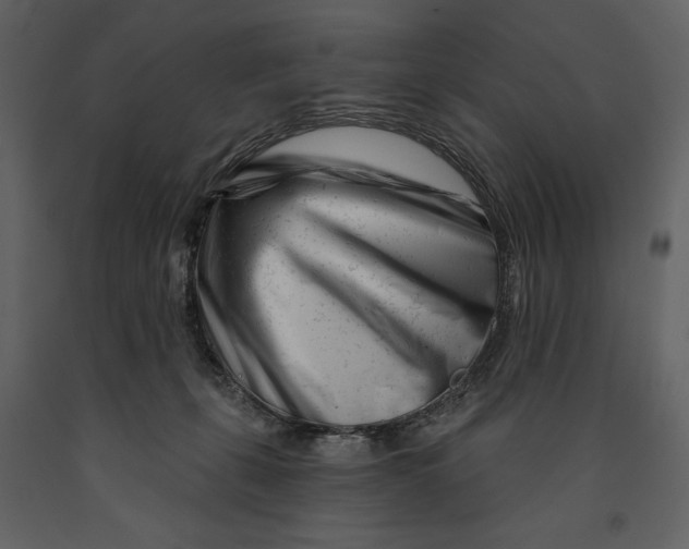 X0000090970271200708241322