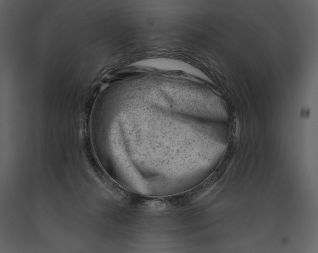 X0000090970272200708241322