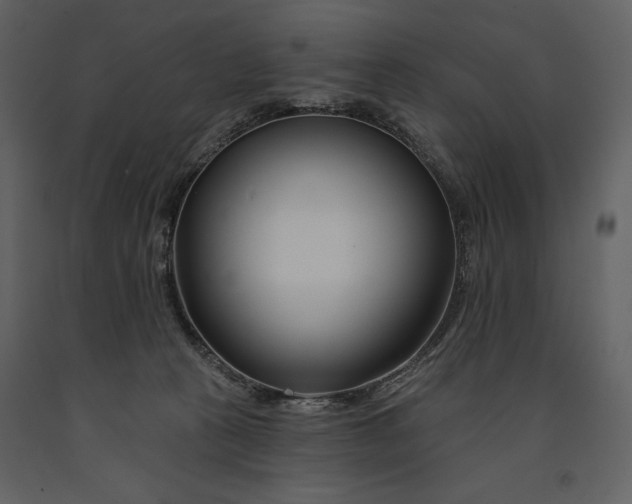 X0000090970273200708241322