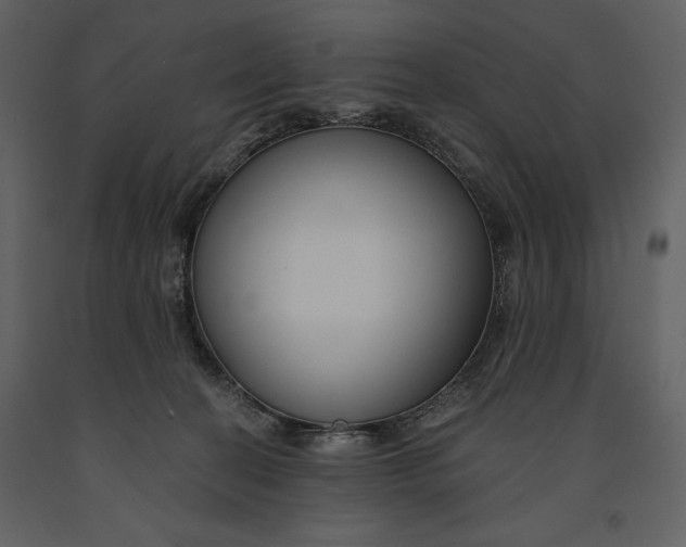 X0000090970274200708241322