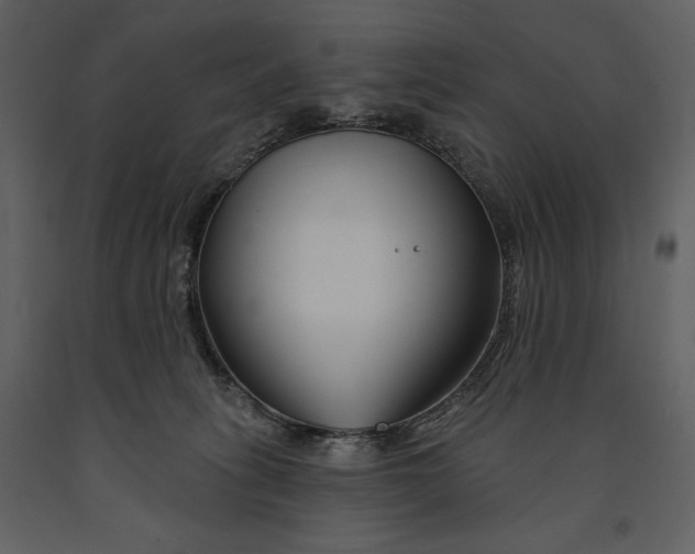 X0000090970275200708241322