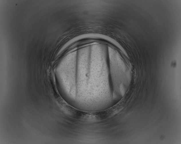 X0000090970276200708241322