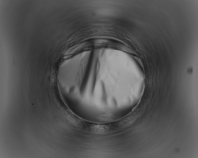 X0000090970277200708241322