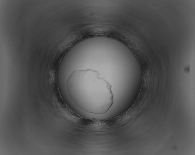 X0000090970278200708241322