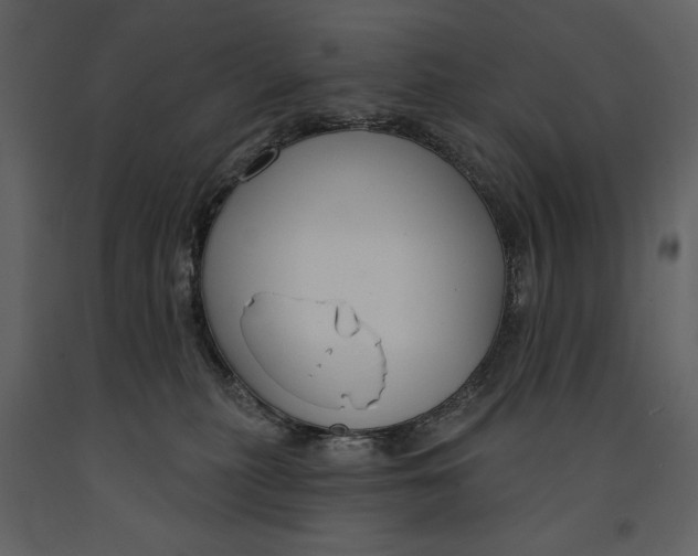 X0000090970279200708241322