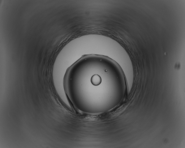 X0000090970280200708241322