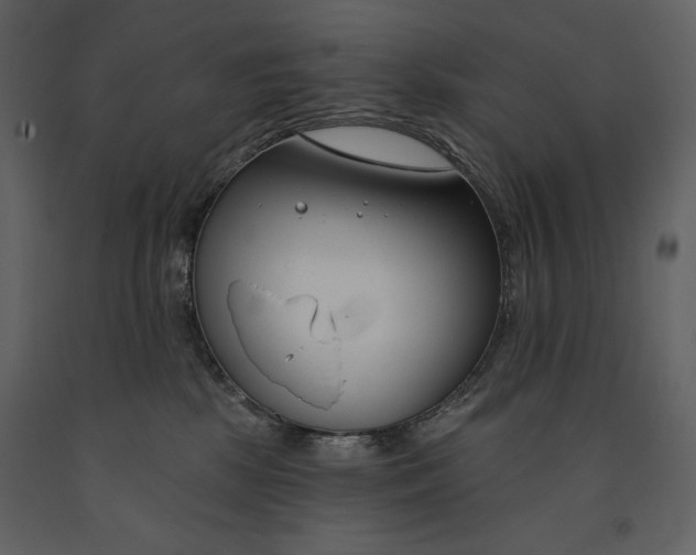 X0000090970281200708241322