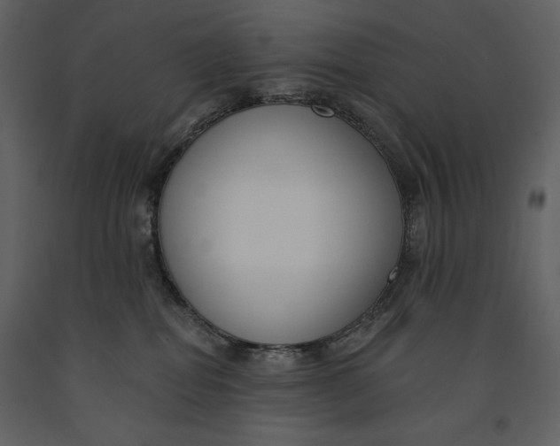 X0000090970282200708241322