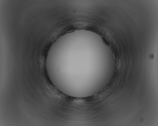 X0000090970283200708241322