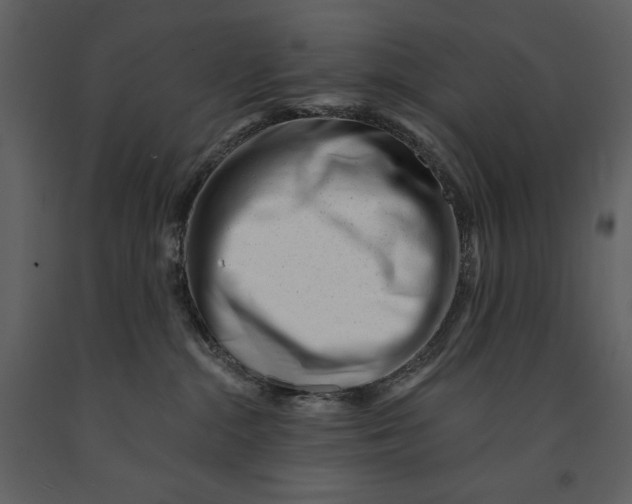 X0000090970284200708241322