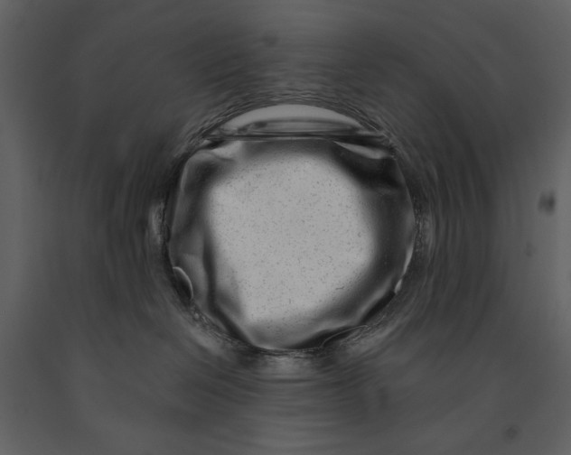 X0000090970286200708241322