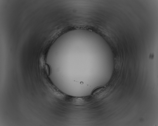 X0000090970287200708241322