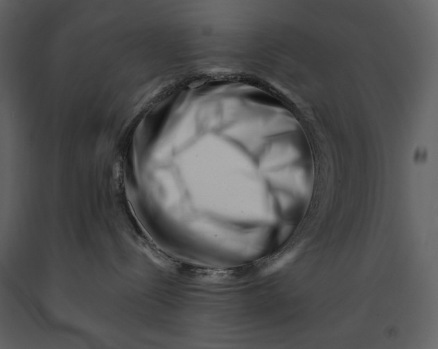 X0000090970288200708241322