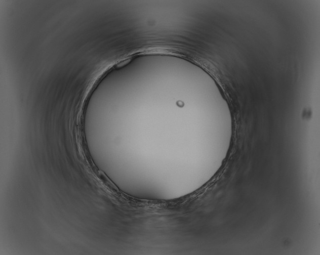 X0000090970289200708241321