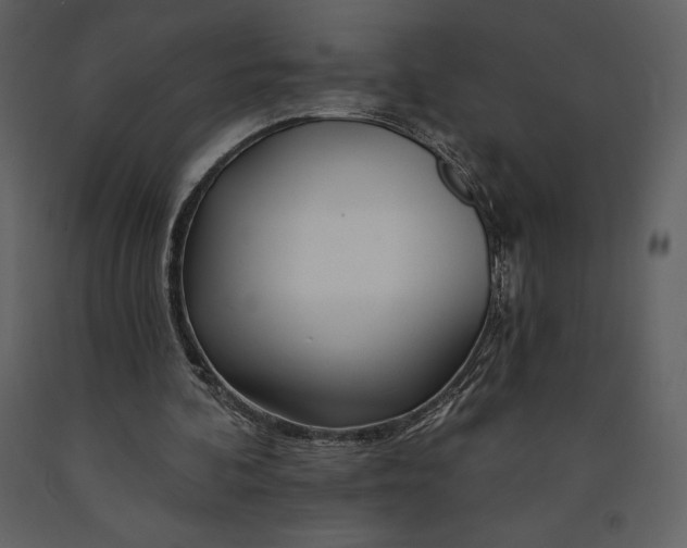 X0000090970292200708241321