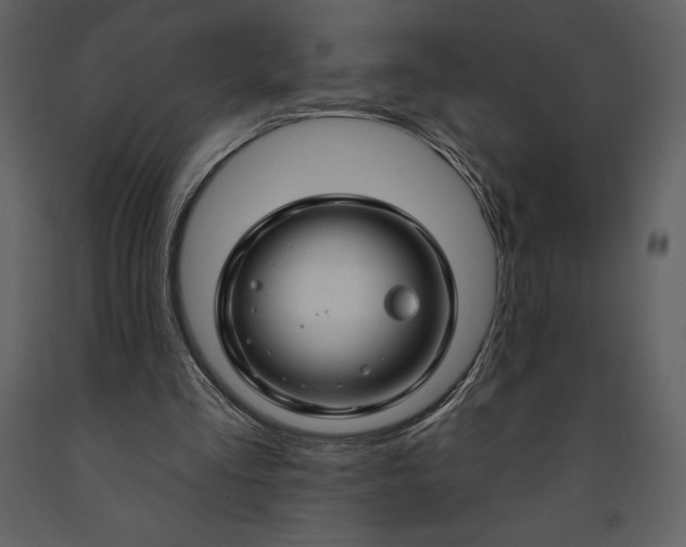 X0000090970293200708241321