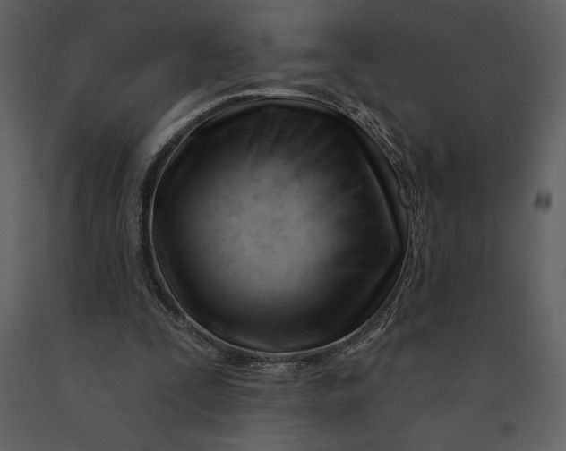 X0000090970295200708241321