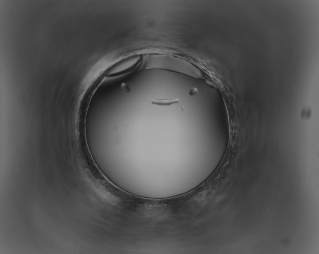 X0000090970296200708241321