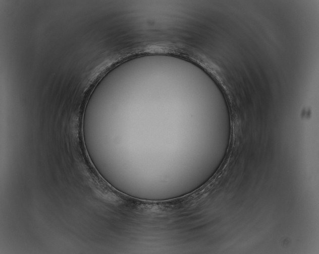 X0000090970297200708241321