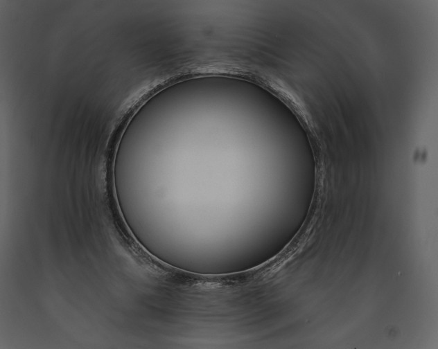 X0000090970298200708241321