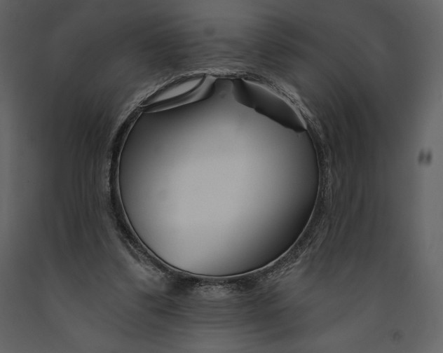 X0000090970299200708241321