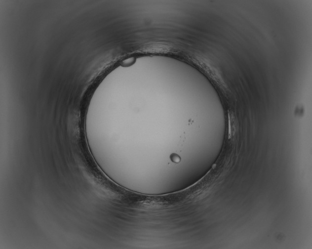 X0000090970300200708241321