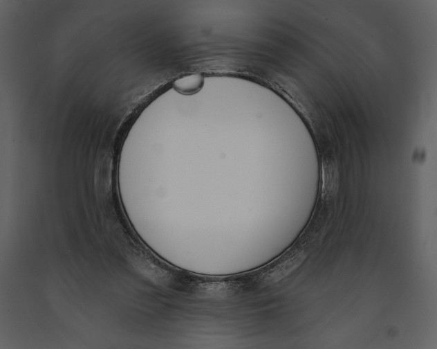 X0000090970301200708241321