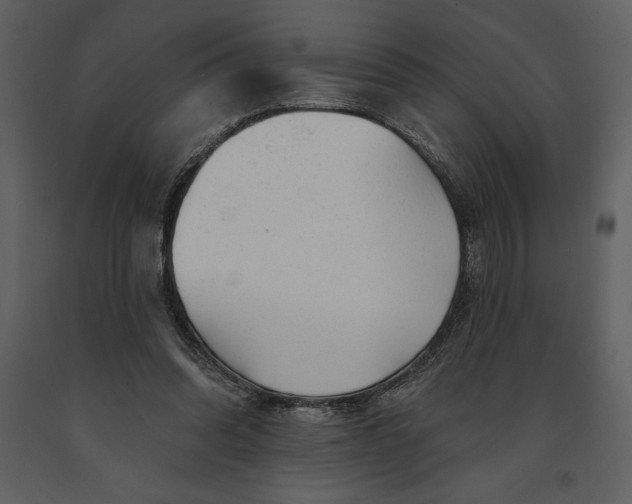 X0000090970302200708241321