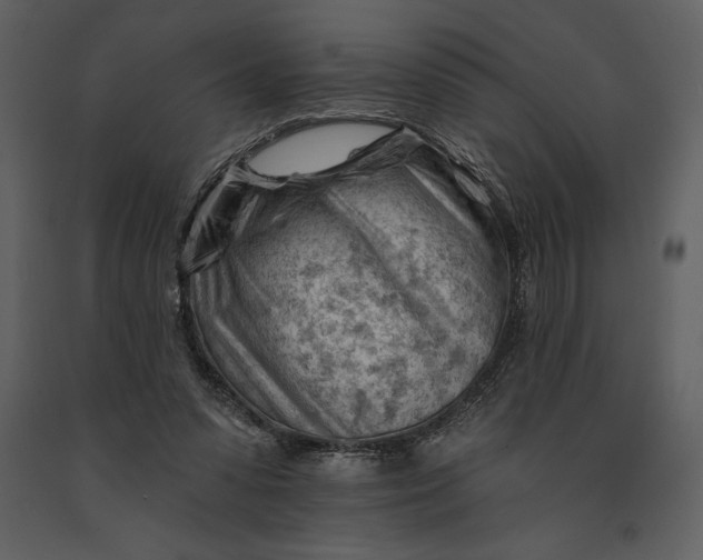 X0000090970303200708241321