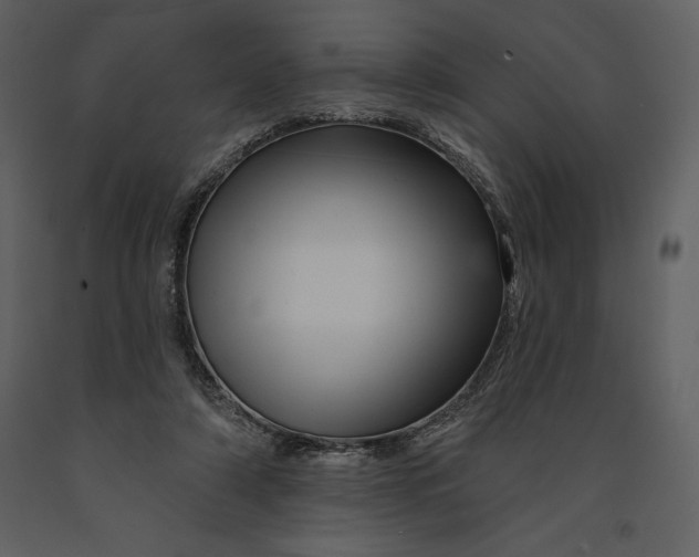 X0000090970306200708241321