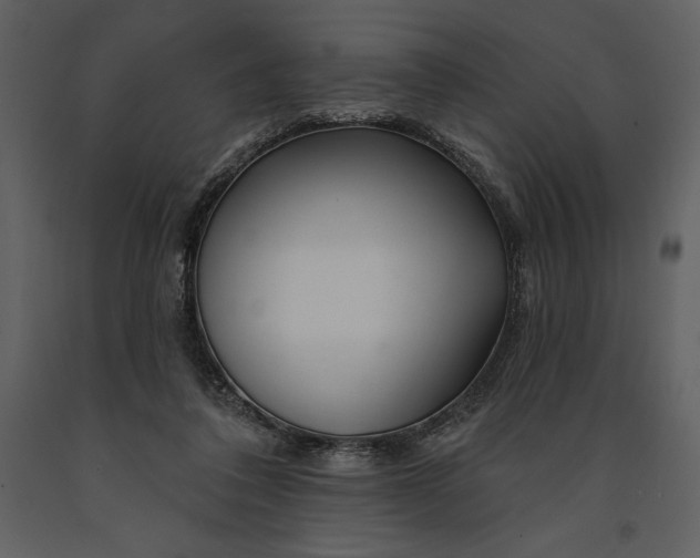 X0000090970308200708241321