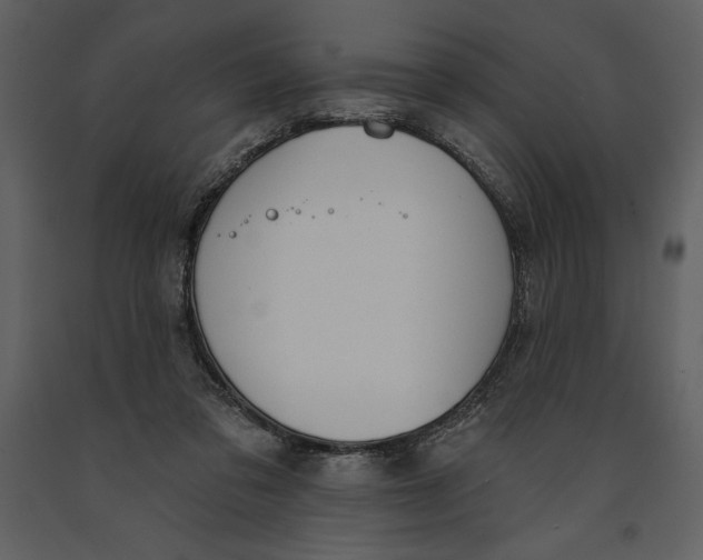 X0000090970309200708241321