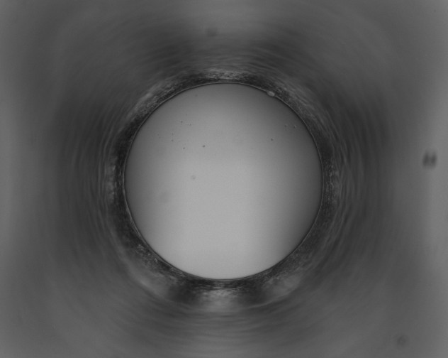 X0000090970312200708241321