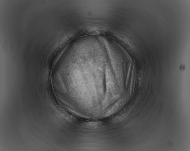 X0000090970314200708241321