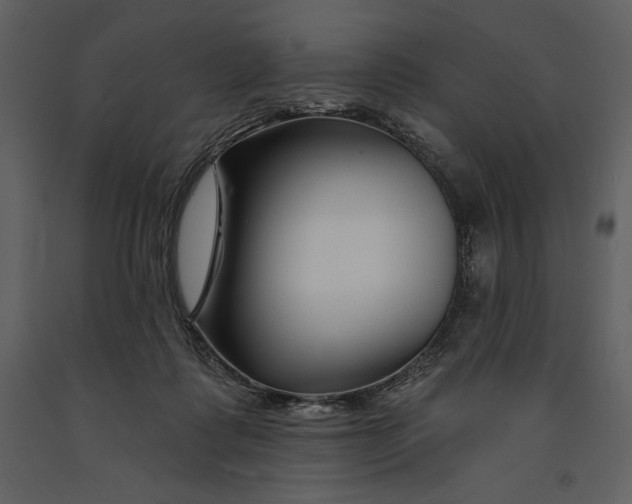 X0000090970315200708241321