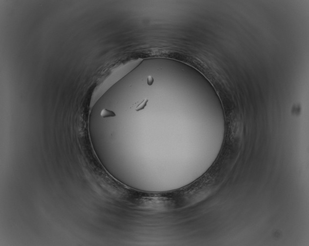 X0000090970316200708241321