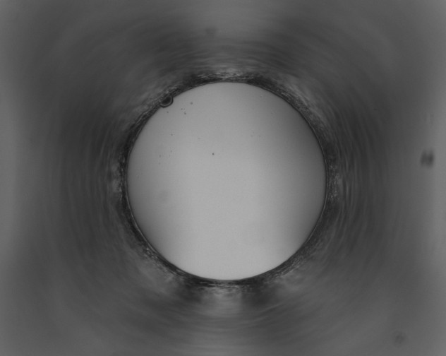 X0000090970317200708241321