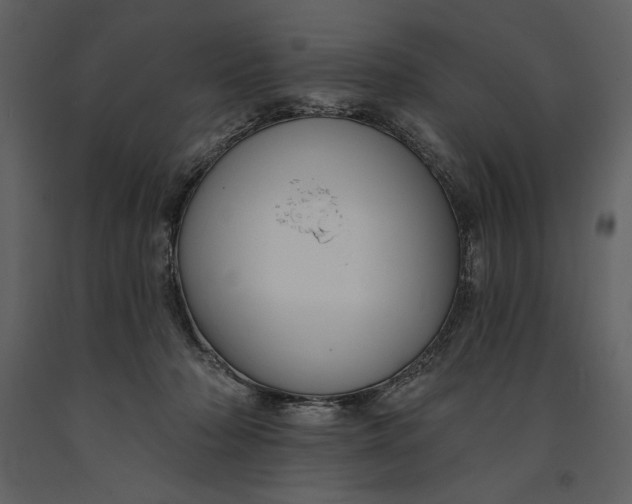 X0000090970318200708241321