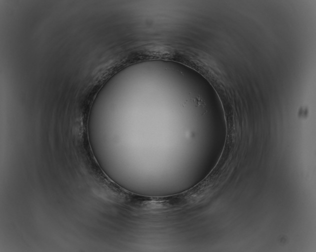 X0000090970320200708241321