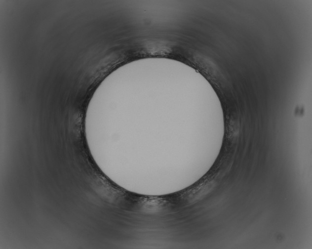 X0000090970321200708241321