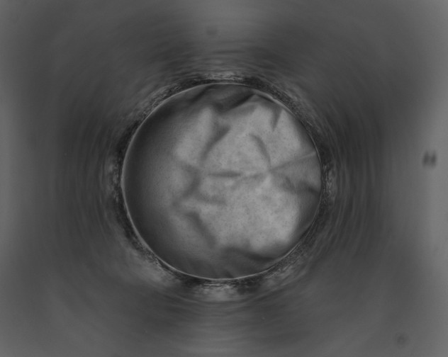 X0000090970322200708241321