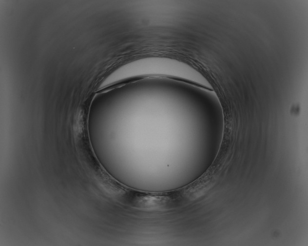 X0000090970323200708241321