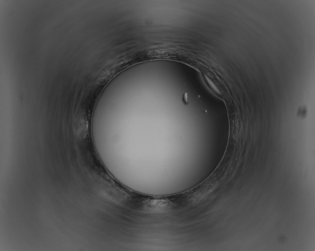 X0000090970324200708241321