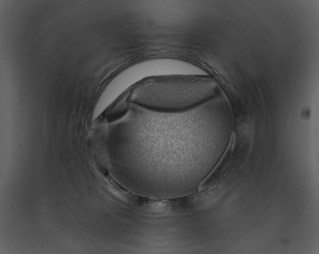 X0000090970325200708241321