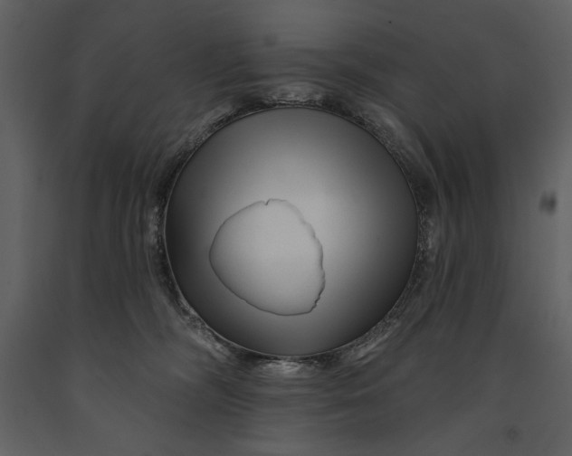 X0000090970326200708241321